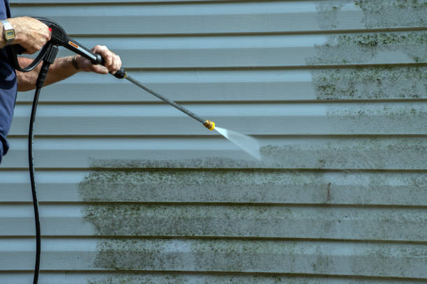 Best Graffiti Removal  in Camdenton, MO